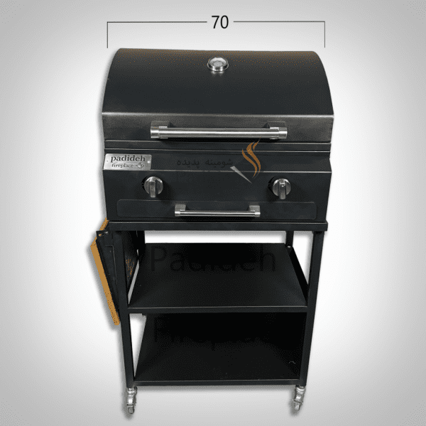 Basic gas grill B70