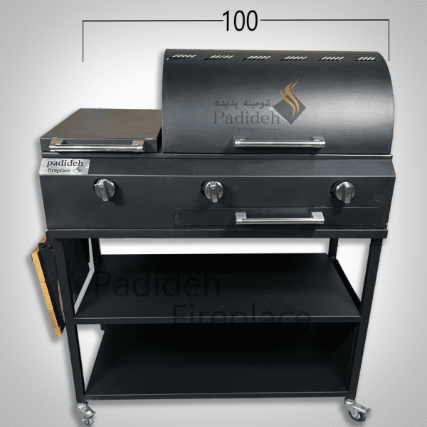 A100 basic gas grill